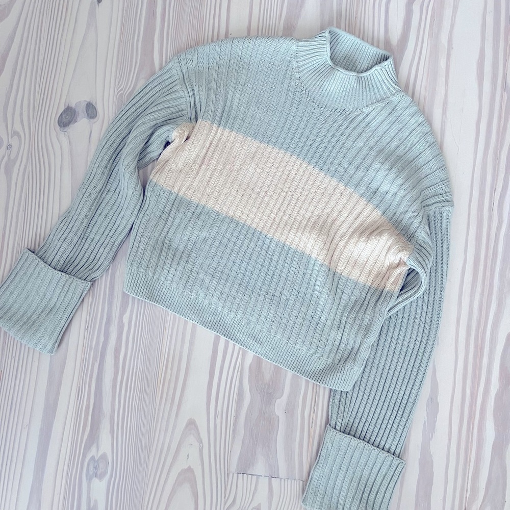 NWOT Everlane The Cotton Ribbed Rollneck Sweater